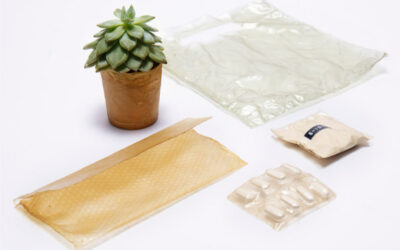 How to choose the right sustainable material for your product?